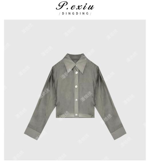 03-4潘依绣丁丁宠粉翻领薄款纽扣长袖夏季衬衣Q6659 商品图0