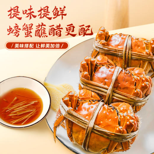 珠江桥牌 大红浙醋500ml 商品图2