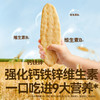 【109任选3件】【⚡39.9秒杀4袋】有机婴幼儿胚芽米饼32.8g（原味*2+草莓+田园蔬菜）叠加店铺满赠，不叠加店铺满减和会员折扣 商品缩略图3