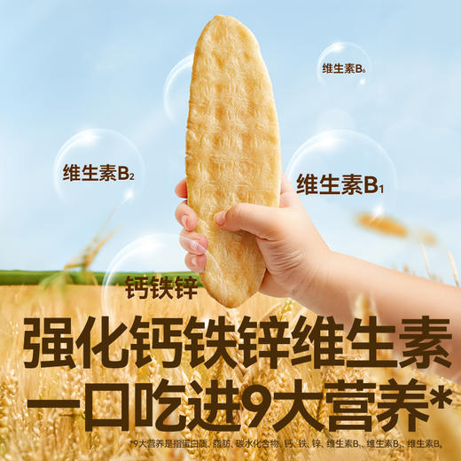 【109任选3件】【⚡39.9秒杀4袋】有机婴幼儿胚芽米饼32.8g（原味*2+草莓+田园蔬菜）叠加店铺满赠，不叠加店铺满减和会员折扣 商品图3