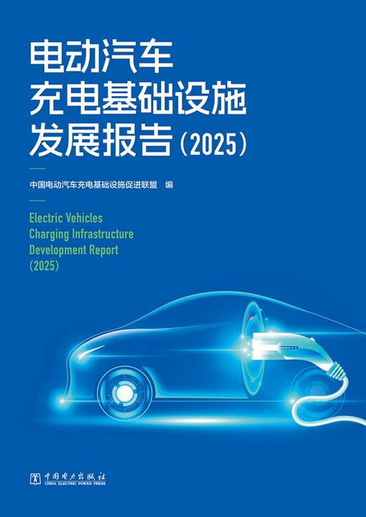 电动汽车充电基础设施发展报告 商品图1