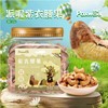 派喔紫衣腰果208g 商品缩略图0