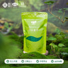 【2026绿茶】五峰绿茶采花春芽贡芽100g 商品缩略图3
