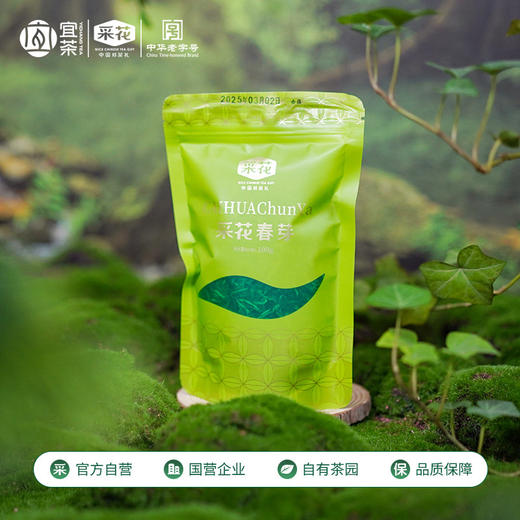 【2026绿茶】五峰绿茶采花春芽贡芽100g 商品图3