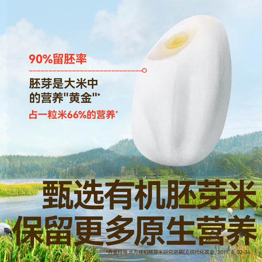 【109任选3件】【⚡39.9秒杀4袋】有机婴幼儿胚芽米饼32.8g（原味*2+草莓+田园蔬菜）叠加店铺满赠，不叠加店铺满减和会员折扣 商品图2