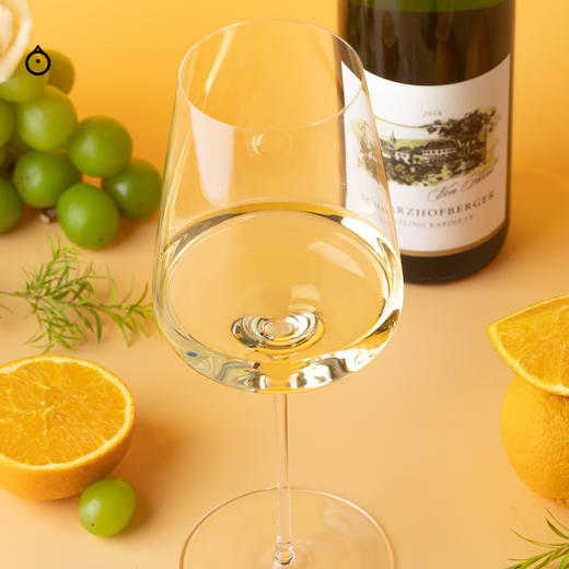 企鹅市集|德国VDP名庄冯佛尔Von hovel酒庄 沙兹堡雷司令珍藏级 酒王同款特级园 商品图4