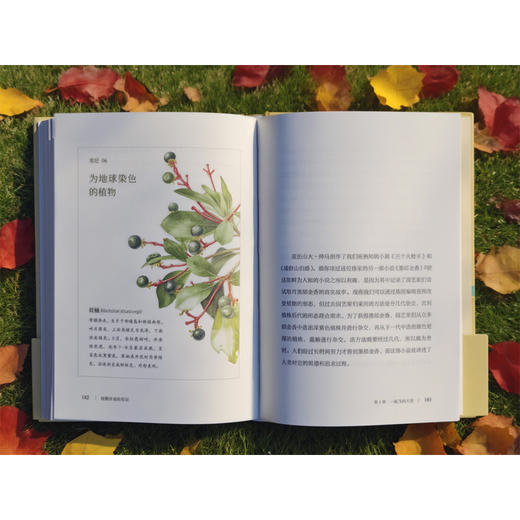 植物学家的笔记 申惠雨/著 罗竣/译 植物学 散文 科普 植物插画 广西师范大学出版社 商品图10