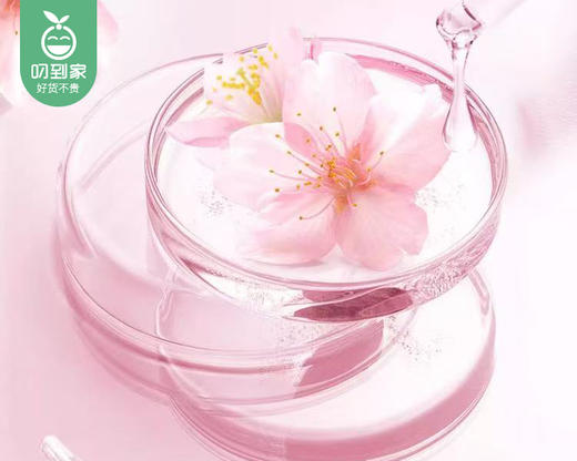 映涤樱花除湿盒*6盒（230g/盒） 商品图3