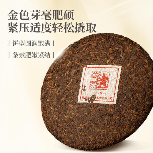 【联系客服下单更优惠】澜沧古茶2026年冰岛熟茶云南名山古树普洱茶熟茶大饼357g 商品图3