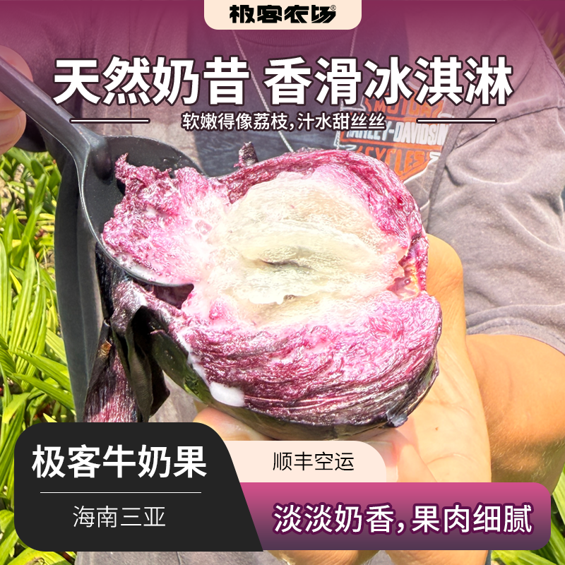 【预售】极客牛奶果丨淡淡奶香，果肉细腻，保质期较短，需尽快食用。深紫色果肉会涩，只吃白肉和浅红肉⭐️顺丰空运