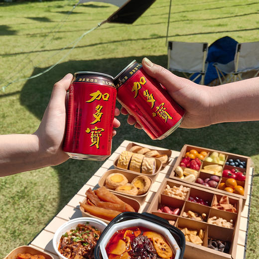 【自营】加多宝凉茶24罐本草植物饮料火锅烧烤伴侣新老包装随机发 经典爆款310ml*24罐 商品图2
