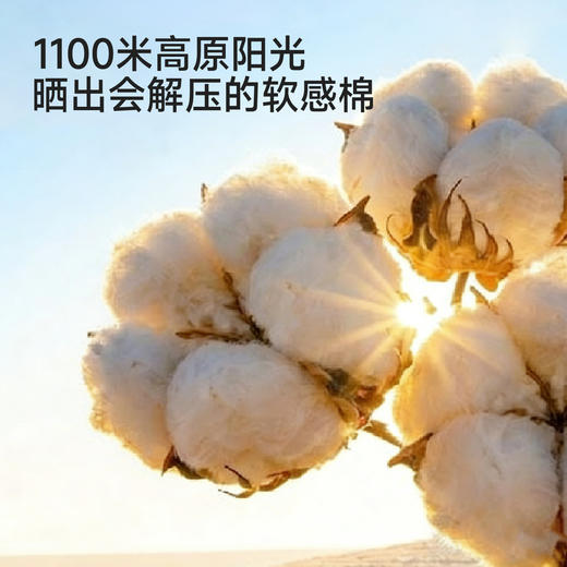 【商场同款】英氏女童套装春夏新款短袖T恤短裤两件套纯棉休闲装 商品图1