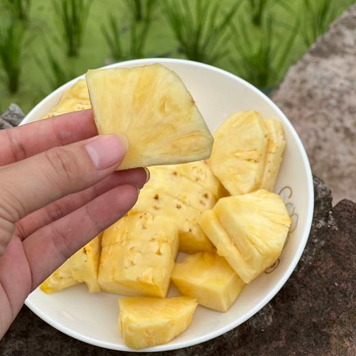 冬蜜凤梨丨即使青皮也可以食用，甜度高，无明显酸味，一口惊艳。⭐️顺丰快递 商品图12