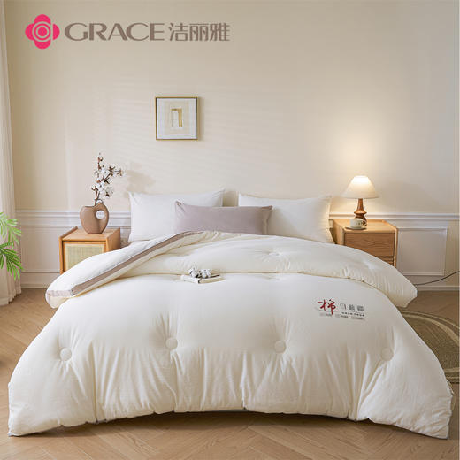洁丽雅（Grace)棉记.立体新疆棉花四季被JLY25902 商品图0
