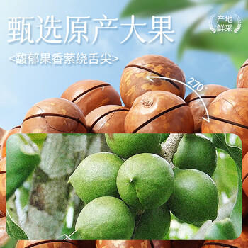 味滋源 夏威夷果258g袋装坚果炒货休闲零食健康干果特产大颗粒坚果 商品图1