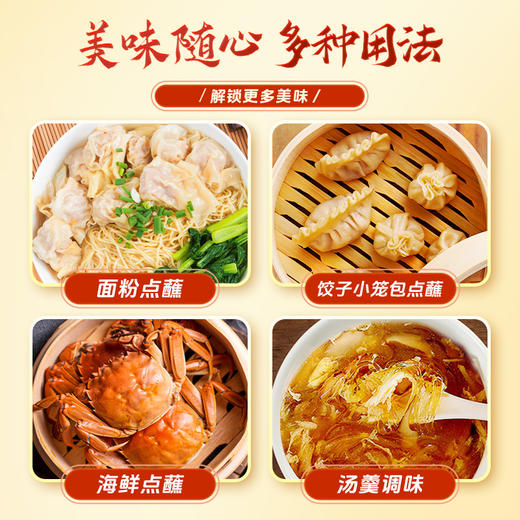 珠江桥牌 大红浙醋500ml 商品图5