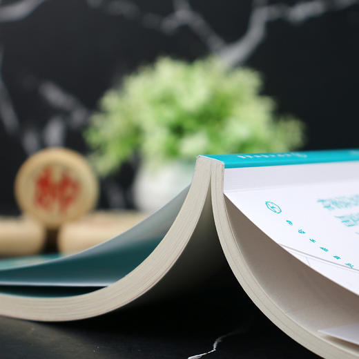 象棋中局实战阶梯训练 商品图3