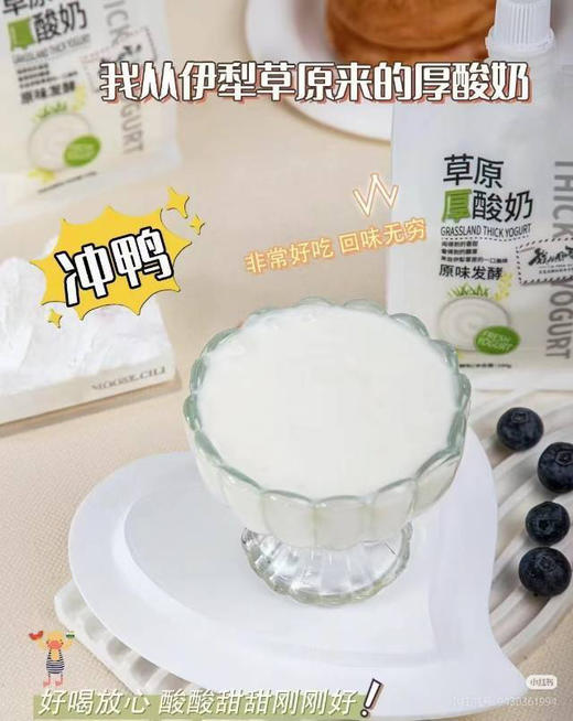 新疆伊犁酸奶（100g/包） 商品图0
