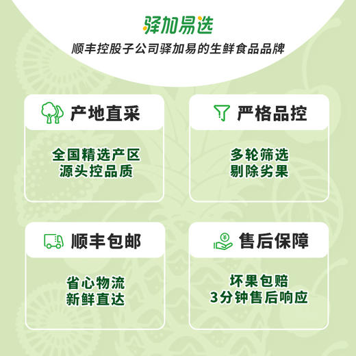 【广东"小兰"黄瓤西瓜】籽少 + 倍甜 + 薄皮 + 多汁 瓜香浓郁 | 顺丰直发DB 商品图5