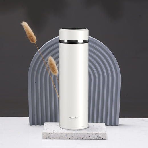 【自营】全格 保温杯子水杯【容量：450mL】BW503-450　 商品图9