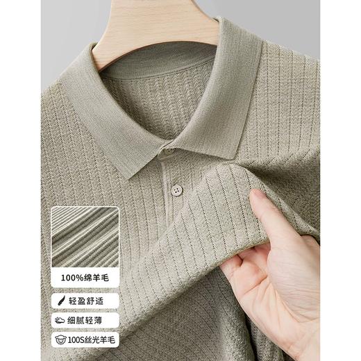 【100%纯羊毛】100支大码男士短袖T恤翻领polo衫半袖丝光羊毛衫   STZZ-STJFW13-145 商品图0