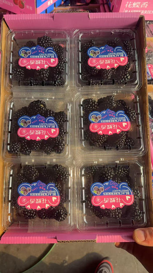 黑莓，基本纯甜，酸味很弱，基地自采，性价比高 商品图5