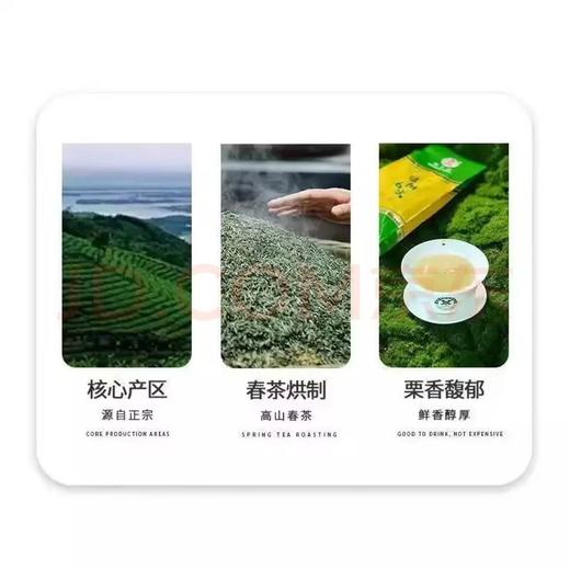 绿茶（信阳毛尖）100g/HGT011 商品图3