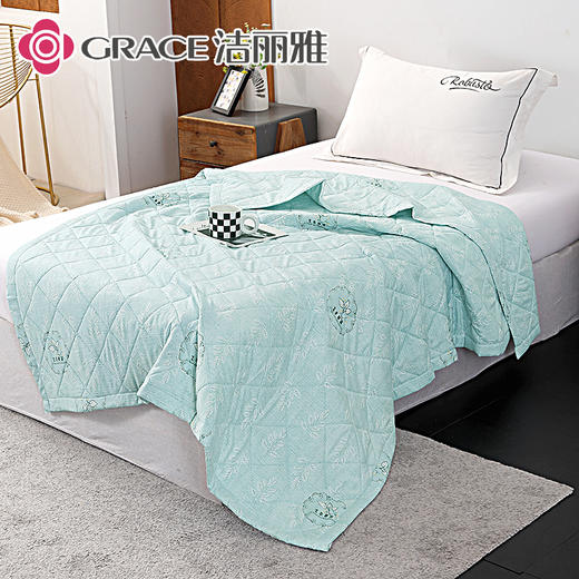 洁丽雅（Grace)春忆彩.艾草亲柔夏被JLY25501 商品图3