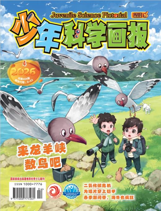 2026年《少年科学画报》全年订阅和单期购买 商品图0