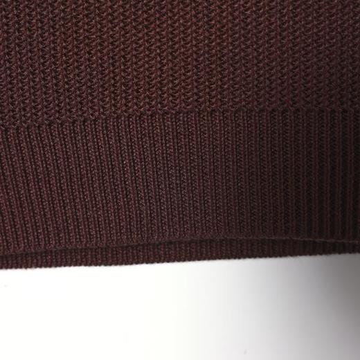 SDSA男装2026新款高贵轻奢老钱风纯色polo领短袖T恤百搭时尚上衣 商品图3