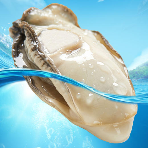 乳江生蚝5斤装/生蚝肉1斤装 商品图2