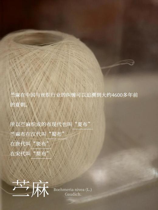 进阶老钱风松针绿苎麻阔腿裤 商品图11