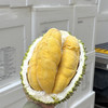 马来西亚液氮猫山王榴莲（广州发货）丨保4房，微苦回甘、蜜甜奶香味；⭐️顺丰快递 商品缩略图4