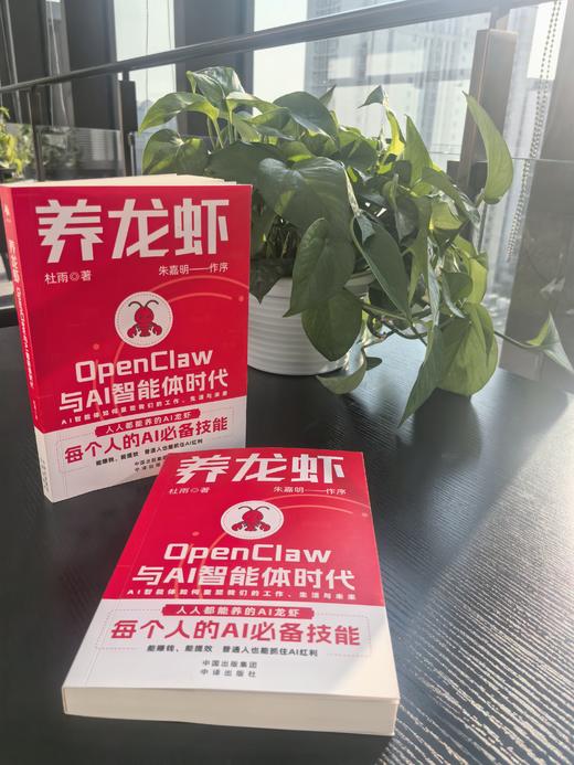 养龙虾：OpenClaw与AI智能体时代 商品图4