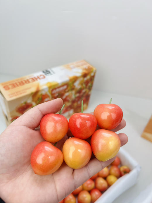 黄樱桃，鲜美脆甜 商品图1