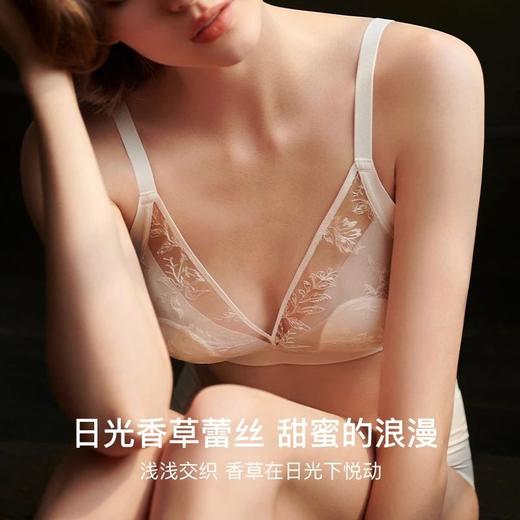 【A-D杯】ubras日光香草蕾丝兔耳杯大杯文胸 商品图2
