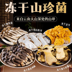 云南特产滇园冻干鹿茸菇/黑皮鸡枞菌/黑牛肝菌/雪山松茸/冻干金耳/多种规格可选