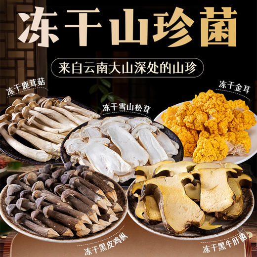 云南特产滇园冻干鹿茸菇/黑皮鸡枞菌/黑牛肝菌/雪山松茸/冻干金耳/多种规格可选 商品图0