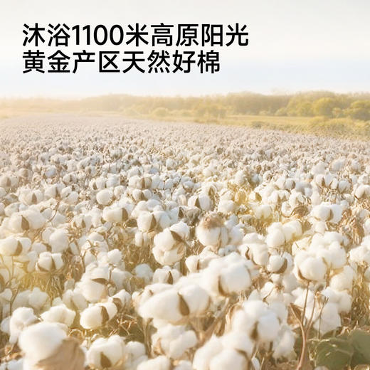 【商场同款】英氏女宝连体衣夏新款短袖裆哈衣透气爬服外出 商品图2