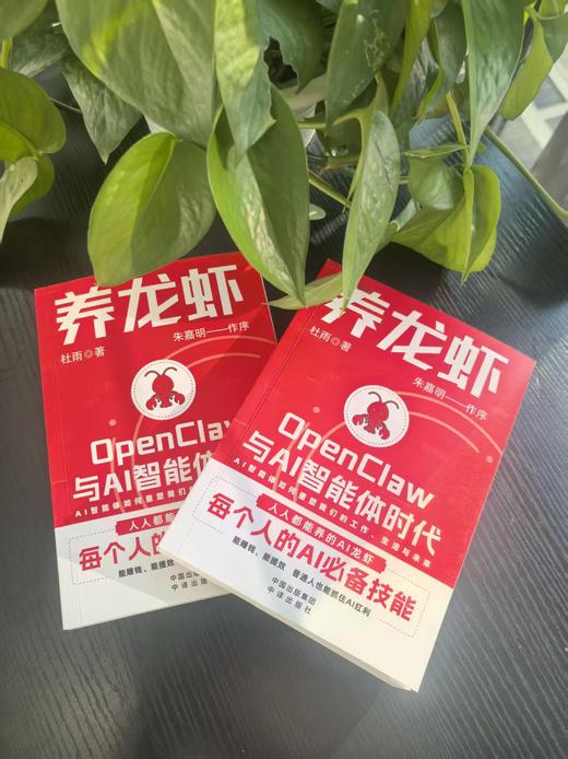 养龙虾：OpenClaw与AI智能体时代 商品图1