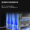 卡萨帝（Casarte）冰箱 BCD-603WGCTDAGWTU1 商品缩略图9