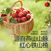 【109任选3件】【⚡39.9秒杀3袋】有机山楂棒85g*2+益生元山楂棒72g，叠加店铺满赠，不叠加店铺满减和会员折扣 商品缩略图4