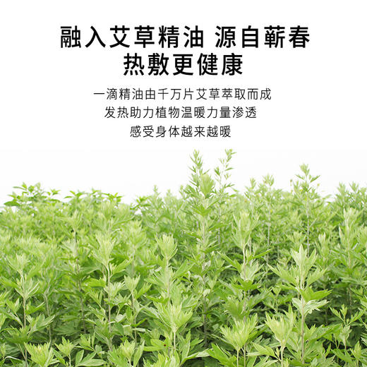 正安 艾草暖热贴 蕲艾精制暖肩暖颈腰暖腹暖关节 关节温敷中老年体弱护理秋冬出游经期保暖 暖热贴*7贴/盒 商品图4