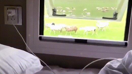 首发减1000【呼伦贝尔6天5夜房车营】大美呼伦贝尔草原，极致辽阔震撼！一家一车，野奢房车露营！私家牧场、2条定制骑马路线、森林红酒晚宴、探秘驯鹿…房车司机+领队+摄影师 商品图3