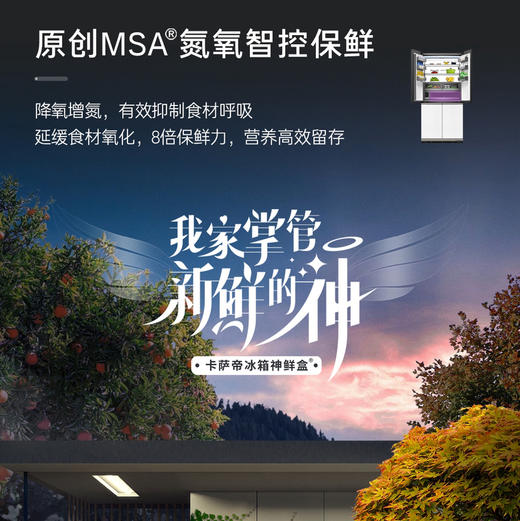 卡萨帝（Casarte）冰箱 BCD-603WGCTDAGWTU1 商品图8