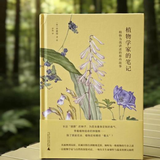 植物学家的笔记 申惠雨/著 罗竣/译 植物学 散文 科普 植物插画 广西师范大学出版社 商品图4