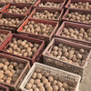 松花糖心皮蛋  单个80g 9.8/5枚 商品缩略图2
