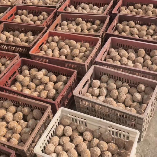 松花糖心皮蛋  单个80g 9.8/5枚 商品图2