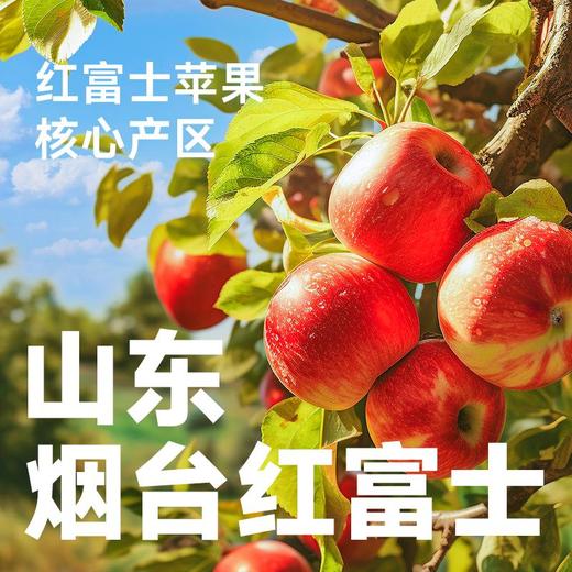 超级植觉100%苹果汁900g 商品图5