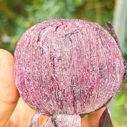 【预售】极客牛奶果丨淡淡奶香，果肉细腻，保质期较短，需尽快食用。深紫色果肉会涩，只吃白肉和浅红肉⭐️顺丰空运 商品图6